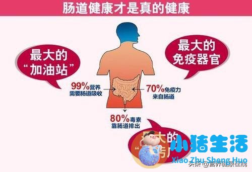 酸奶没有保健作用