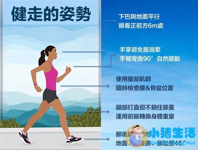 科学减肥计划表