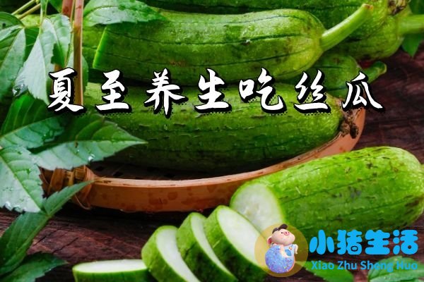夏季养生必吃十种食物
