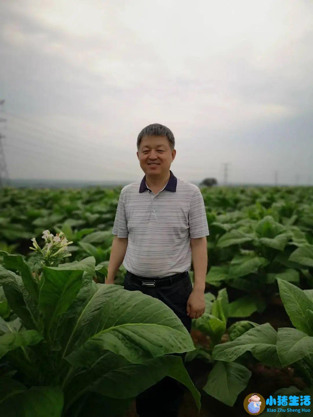 植物医生最好的产品