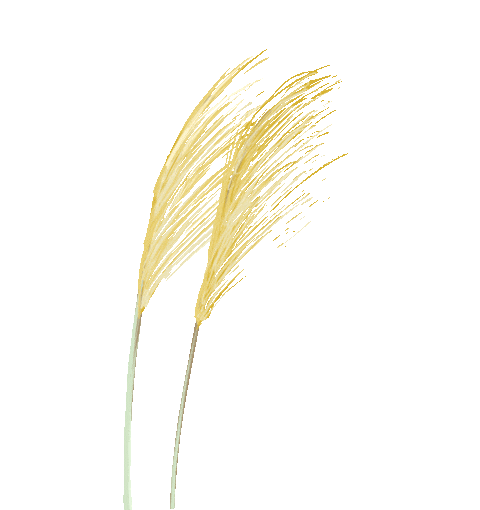 植物医生最好的产品