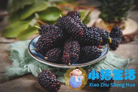 日常壮阳的食物有哪些