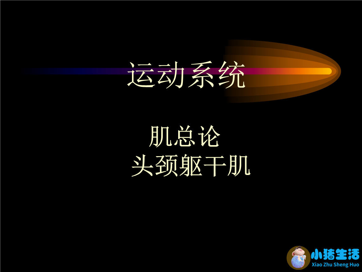 【6.系统解剖学7】第一篇 运动系统：肌学总论，头颈肌，躯干肌：第三章   肌