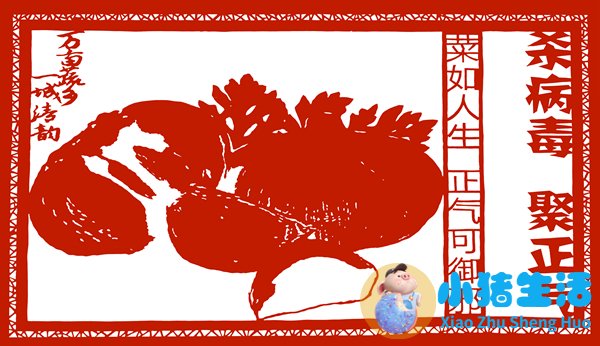 东北汆白肉白菜炖豆腐