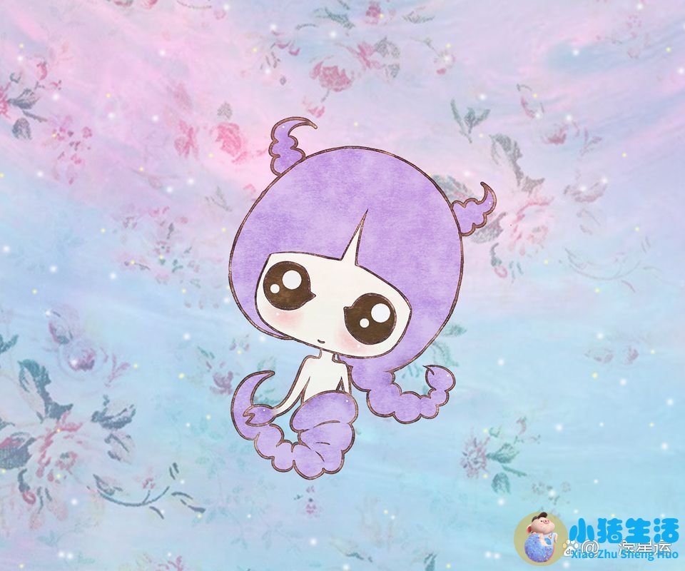 夫妻相处的原则和底线