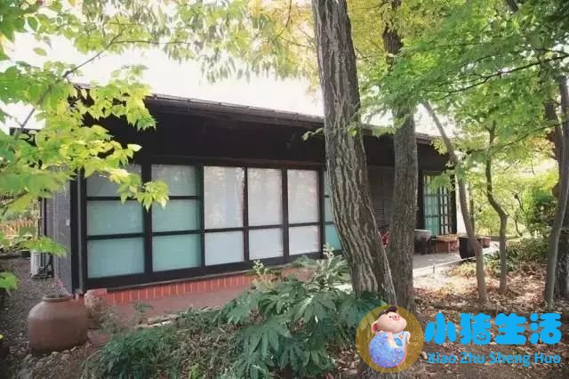 夫妻相处的原则和底线