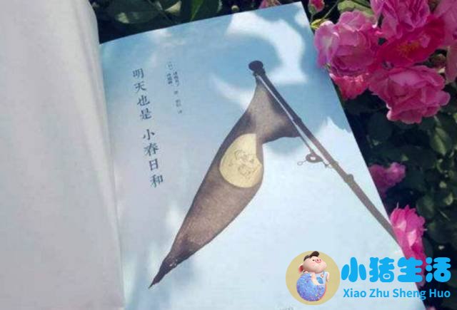 夫妻相处的原则和底线