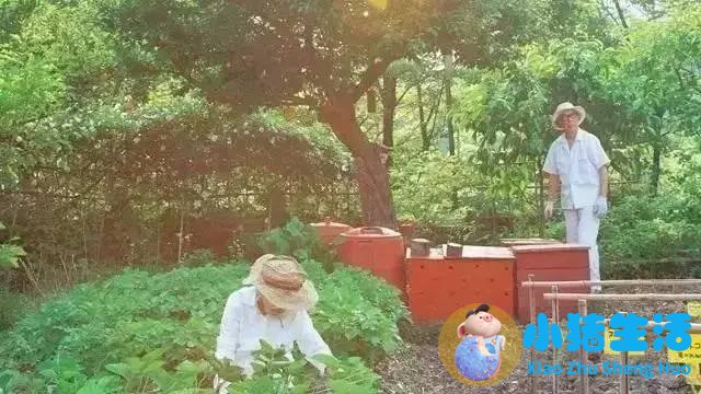 夫妻相处的原则和底线