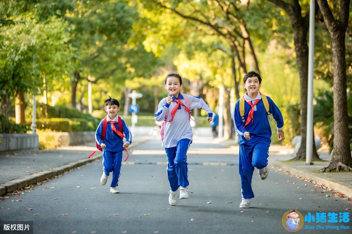 幼儿园大班家长育儿心得