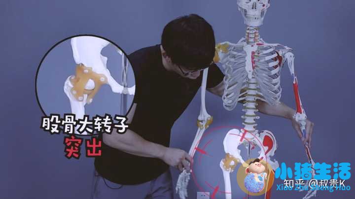 大腿局部减肥