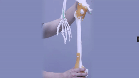 大腿局部减肥