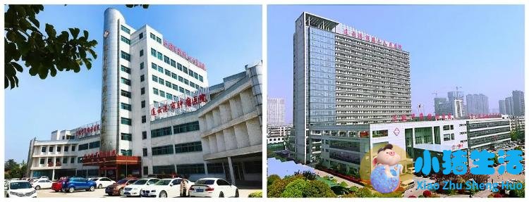 最具影响力医学新闻