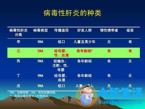 家里人有乙肝会传染吗