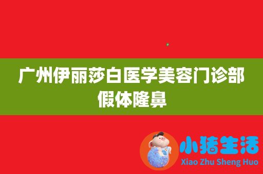 李琳鼻整形案例