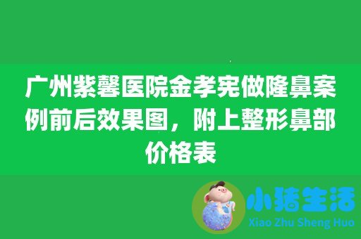 李琳鼻整形案例