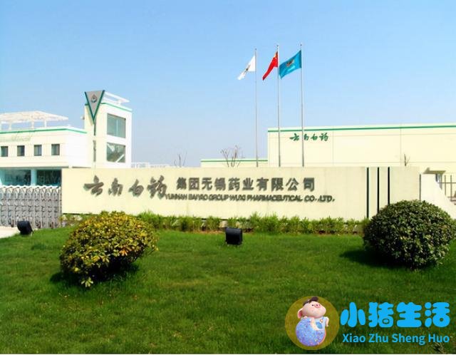 2024年医改政策