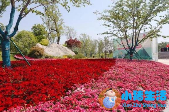 北京旅游 蚂蜂窝