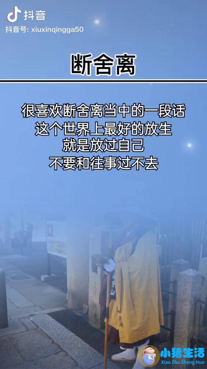 婚姻经营语录