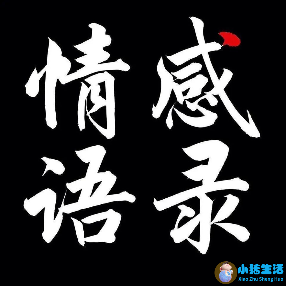 婚姻经营语录
