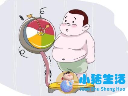 儿童科学减肥一本通:我不当小胖墩儿