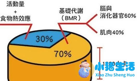 有效减肥方法