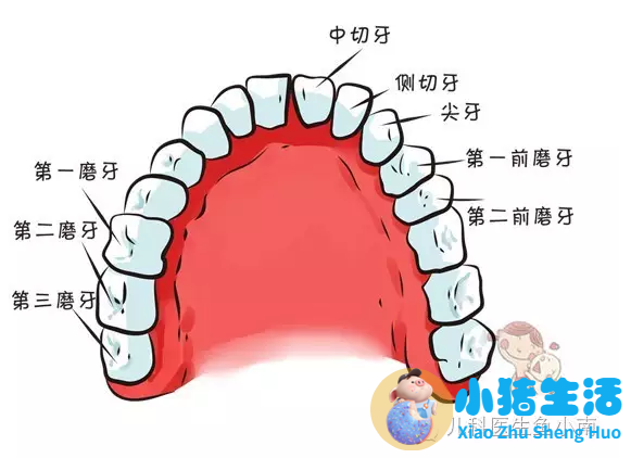 爸妈的育儿经验慧语