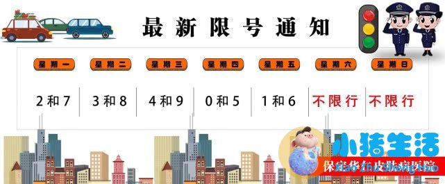 不做小胖墩 能看见热量的原创“网红食谱