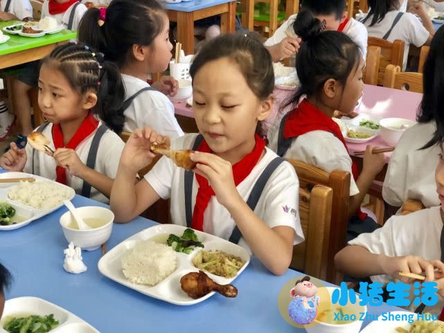儿童科学减肥一本通:我不当小胖墩儿