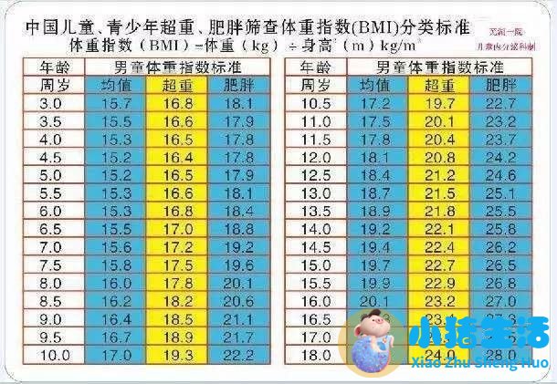 儿童科学减肥一本通:我不当小胖墩儿