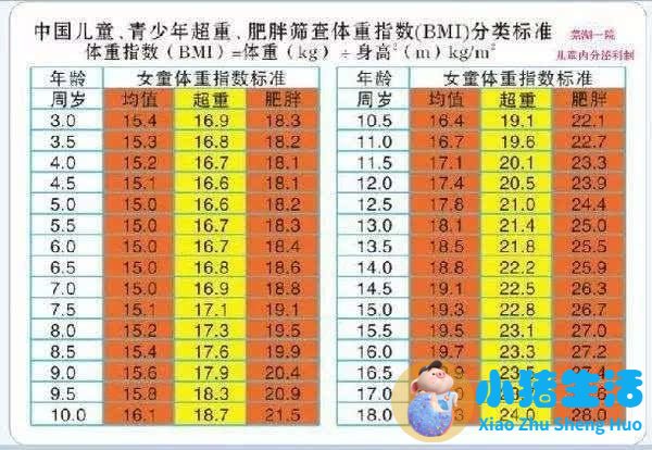 儿童科学减肥一本通:我不当小胖墩儿