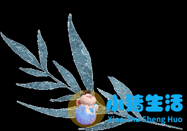 爸妈的育儿经验慧语