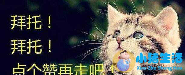 男人几岁最有魅力