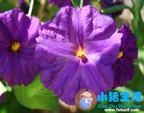 有严重的头皮屑怎么办