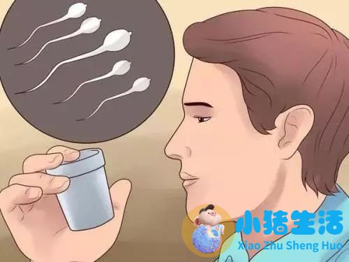 精子活力低吃什么补