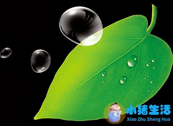 德国全屋净水系统品牌有哪些