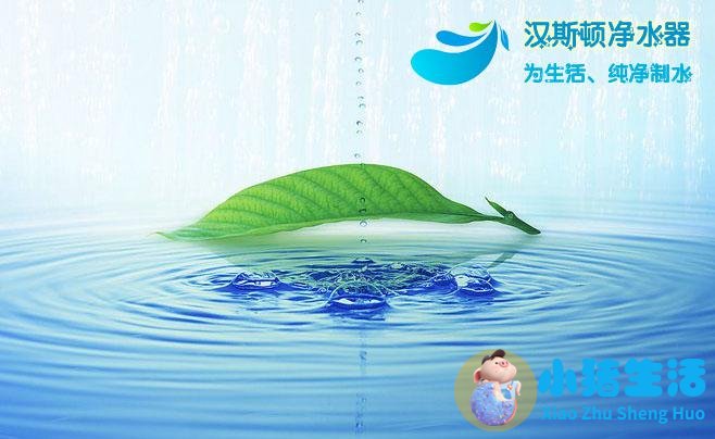 德国全屋净水系统品牌有哪些