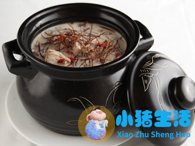 食物养生小知识问答