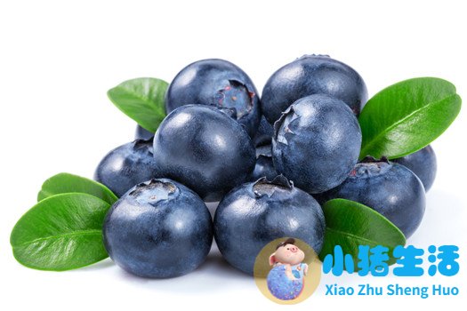 养护头发应该吃什么