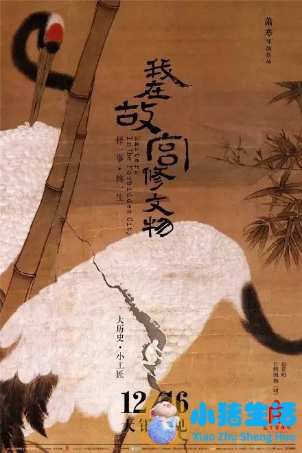 深圳女性养生保健食品
