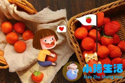 深圳女性养生保健食品
