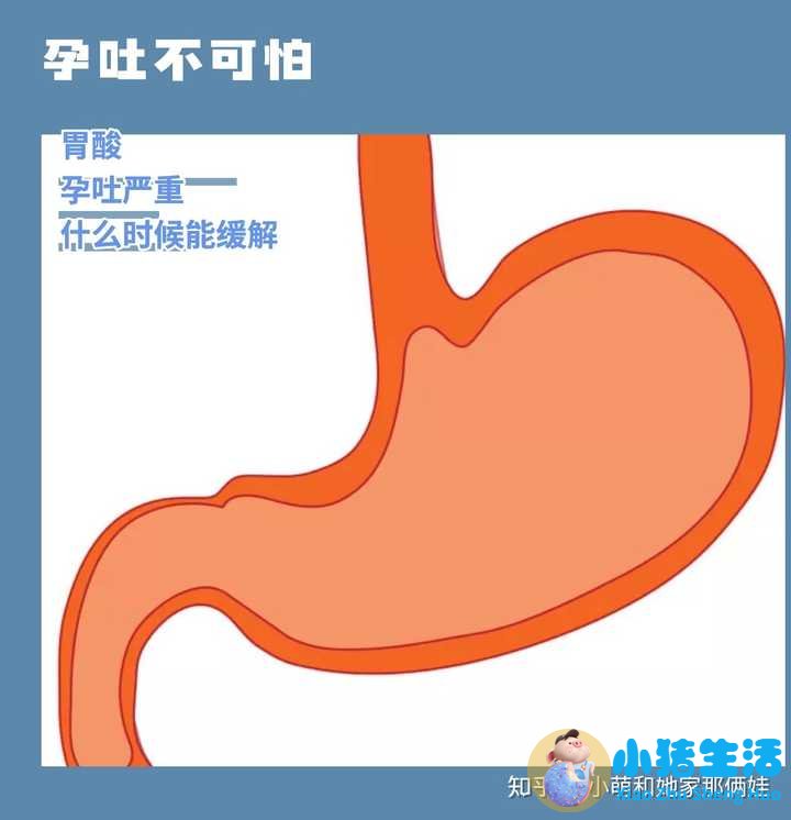 怀孕100天孕妇有啥感觉