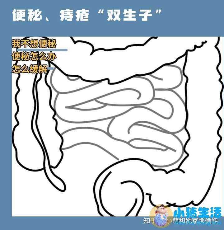 怀孕100天孕妇有啥感觉