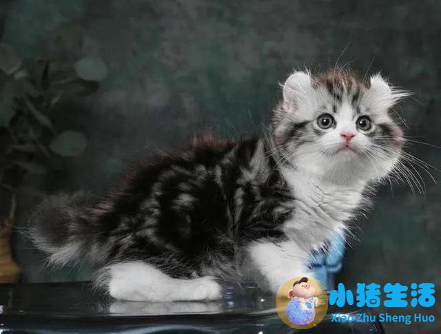 孕妇梦见别人指着自己说没有怀孕