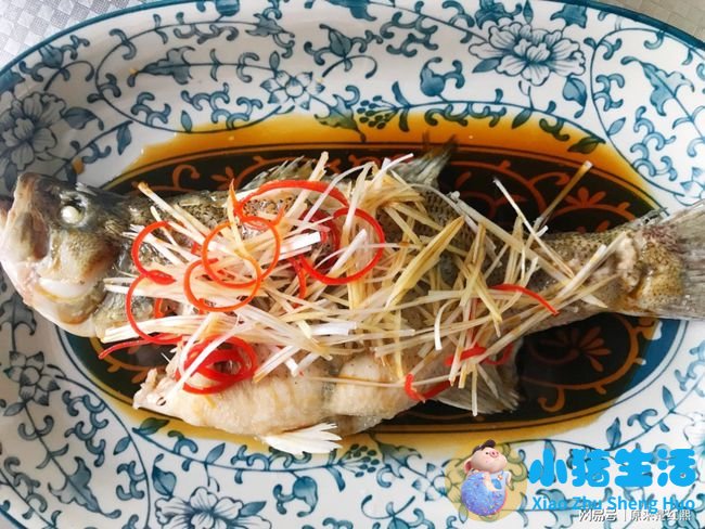 高档观赏鱼专用盐怎么