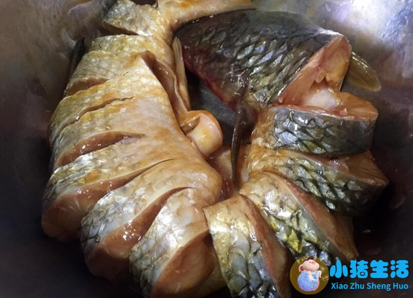 高档观赏鱼专用盐怎么