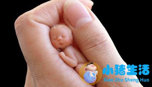 0至3岁幼儿早期教育