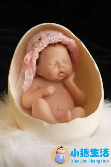 0至3岁幼儿早期教育