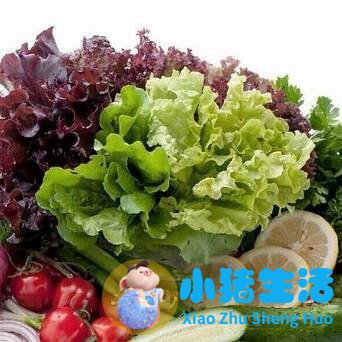有关溶脂性维生素海报
