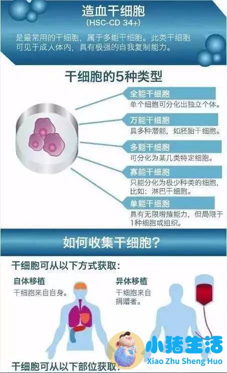 英树羊胎素面膜好用吗