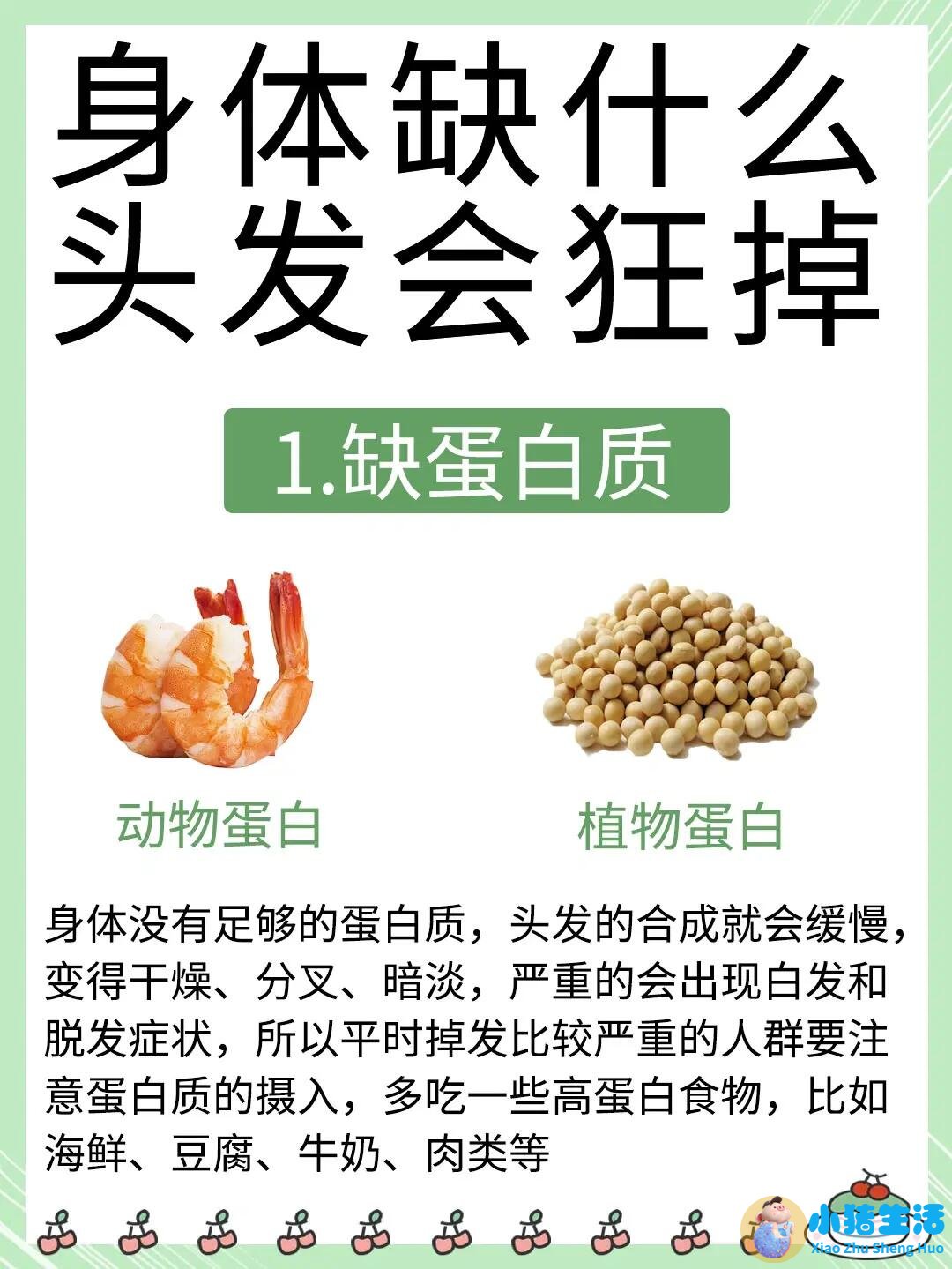 吃什么可以防止掉头发